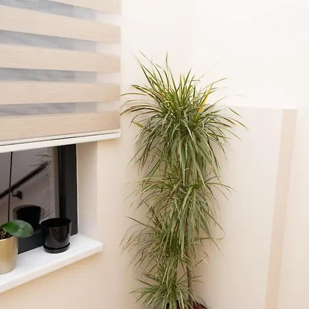 Merak & Caffe Bar فندق مبيت وإفطار 3*