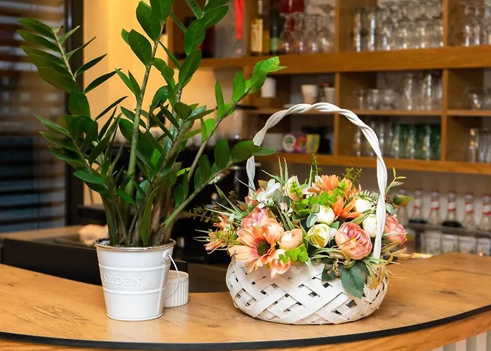 Merak & Caffe Bar krevet i doručak