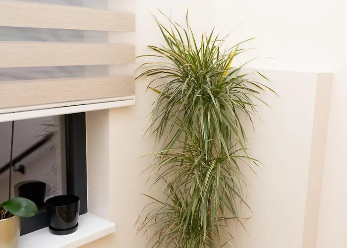 Merak & Caffe Bar krevet i doručak 3*